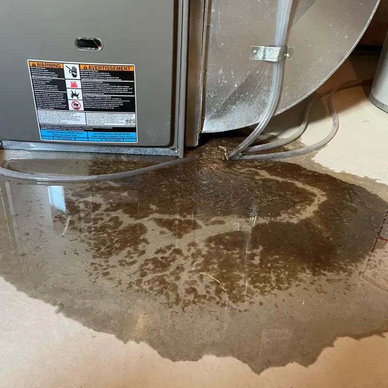 Appliance Leak Cleanup in Hansen, ID